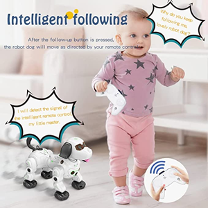 ربات اسباب بازی سگ کنترلی Remote Control Robot Dog مدل777-602A -اسباب بازی